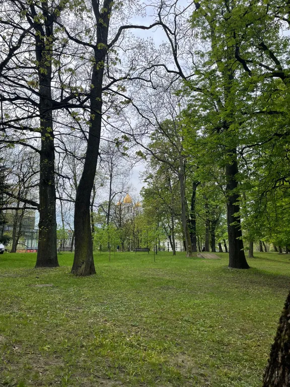 Квартира Уютная квартира в самом центре города,с видом на храм Христа Спасителя — Калининград