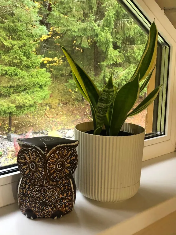 Домик в Карелии