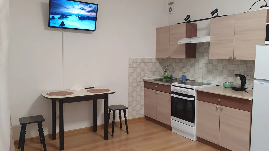 Квартира Уютная квартира напротив НИИ Петрова — Песочный