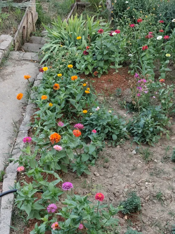 Уютный дом с панорамным видом на город и на горы