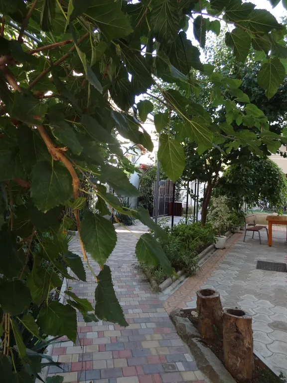 Квартира Апартаменты в центре курортной жизни Евпатории — Евпатория