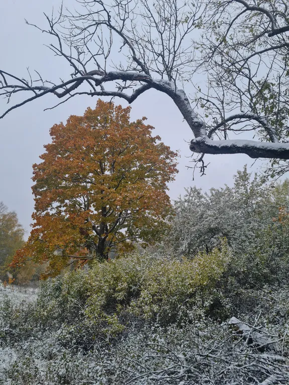 Загородная усадьба