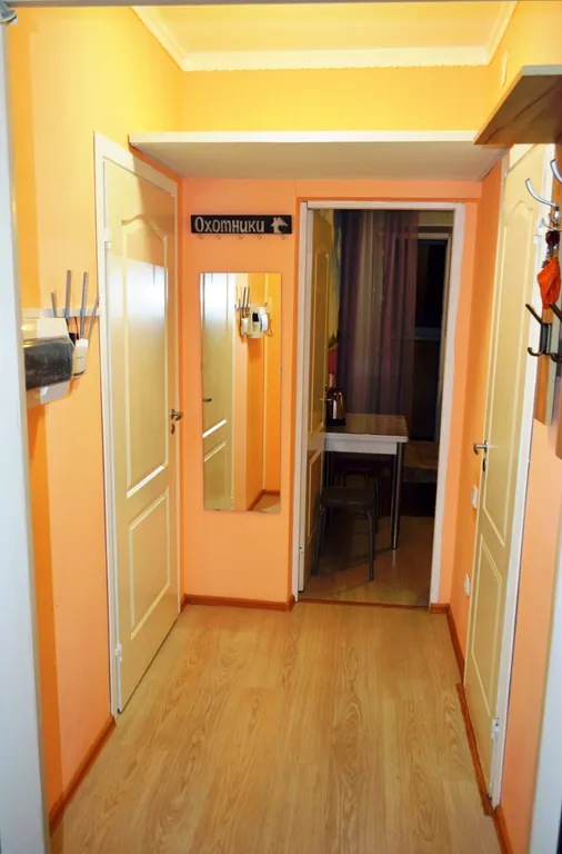 Однокомнатная в Петра Дубраве