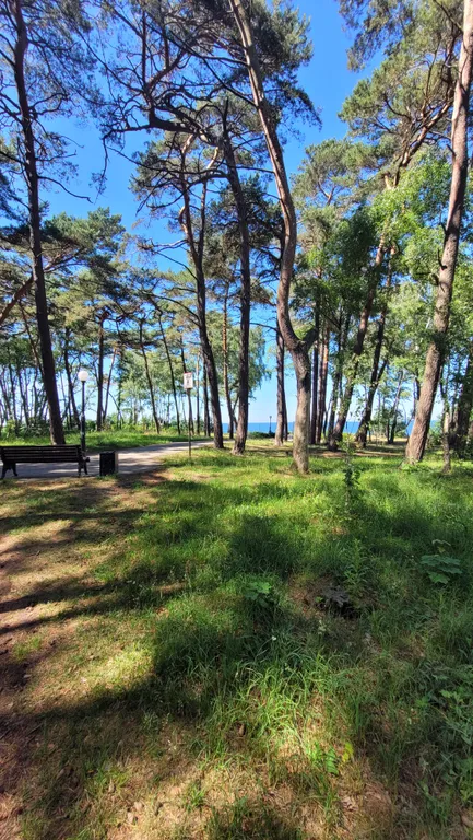 Квартира Уютная квартира ждёт своих гостей — Пионерский