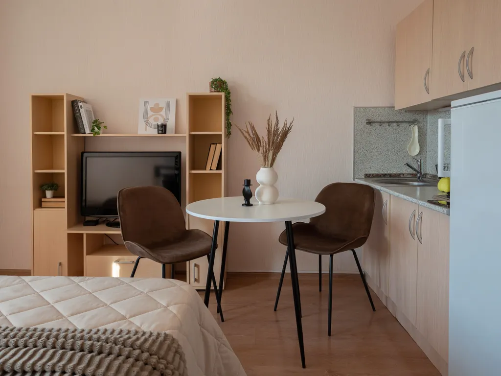 Просторная студия в пригороде Лесное