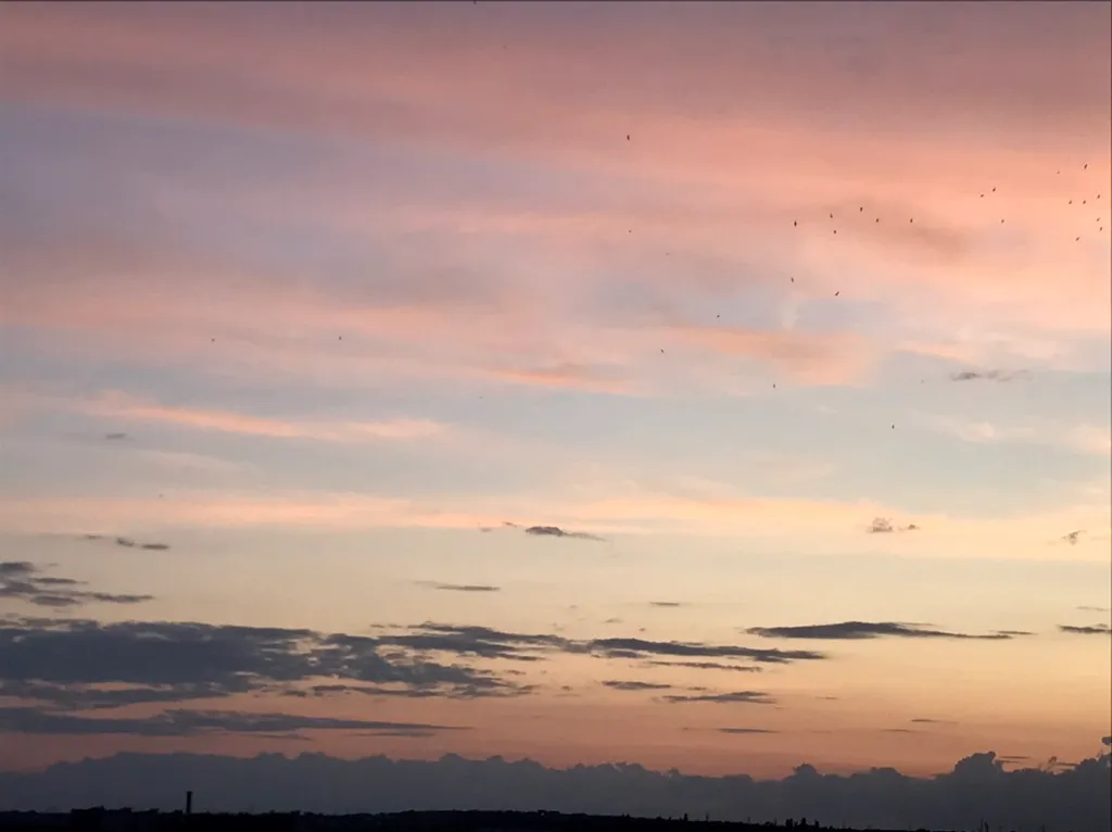 Квартира Уютная квартира с видом на Волгу — Волгоград