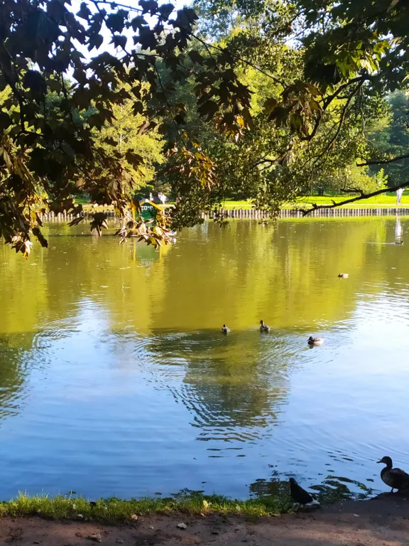 Просторная светлая 2-комнатная квартира