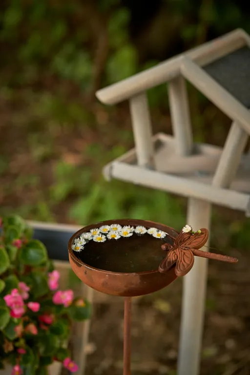 Коттедж Домик в предгорьях Кавказа — Псебай