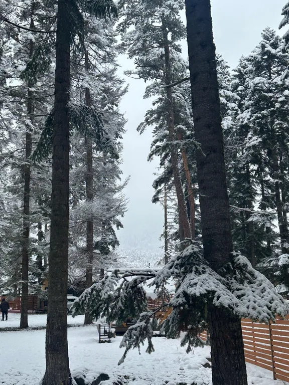 Большой коттедж