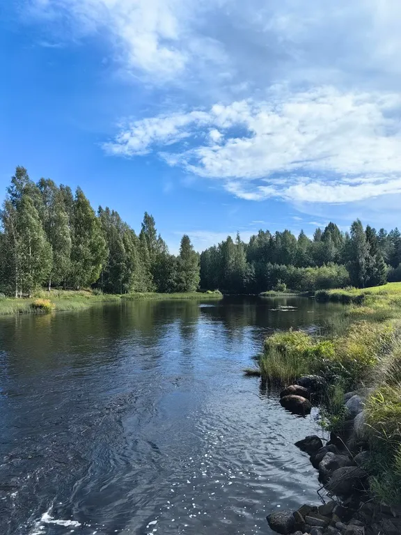 Дом из сруба у воды