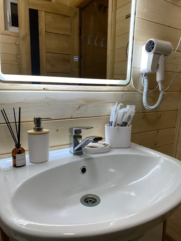 Дом гармония в лесу