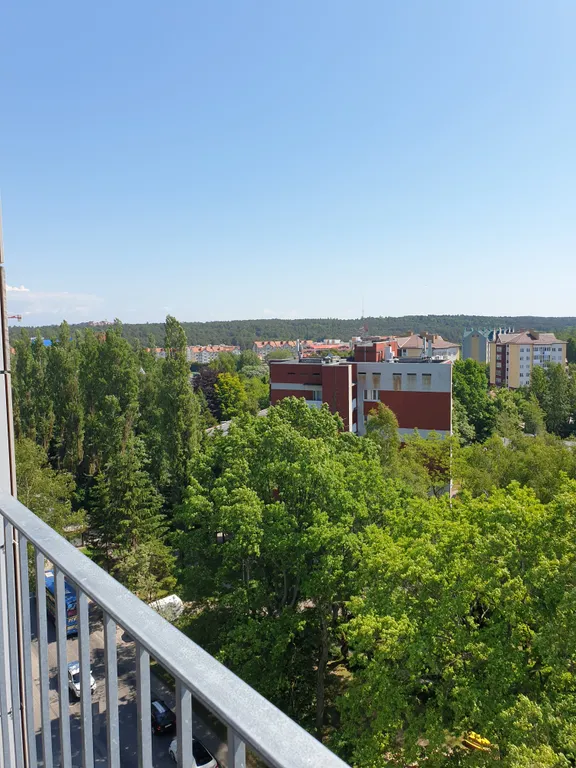 Квартира Апартаменты Eva crystal у моря с бесконтактным заселением — Светлогорск