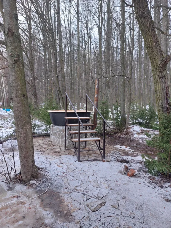 Лесной домик