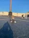Оксана