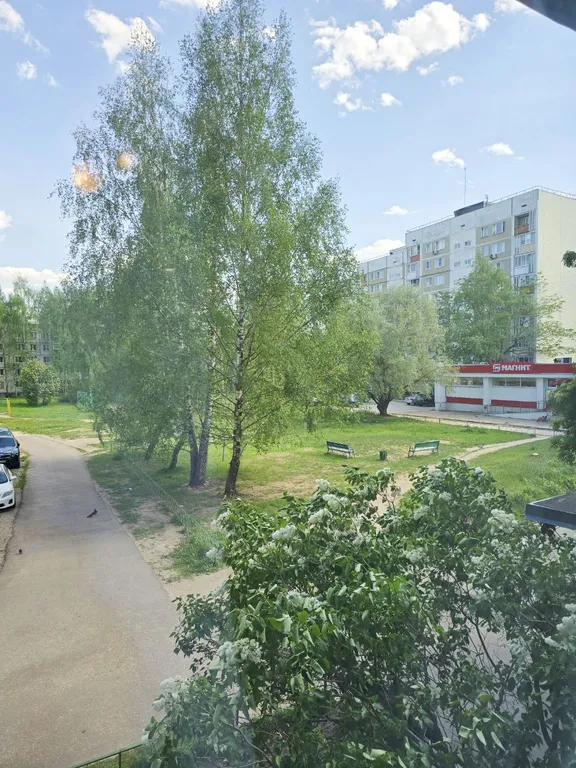 Светлая квартира на берегу Волги