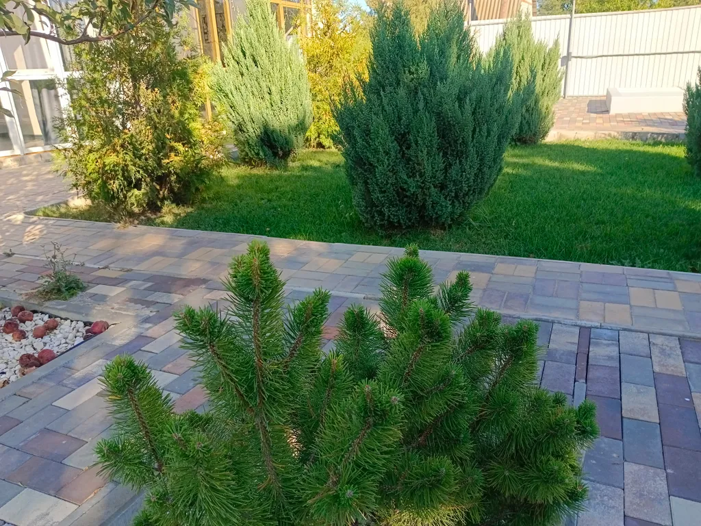 4-комнатный Дом