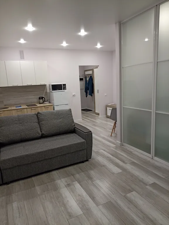 Апартаменты свободной планировки