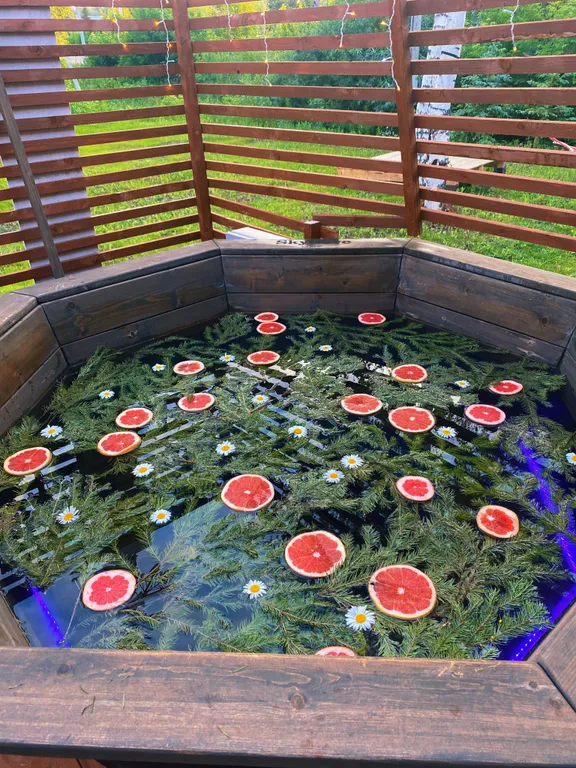 Барнхаус с баней на дровах и чаном SkyLove Glamp