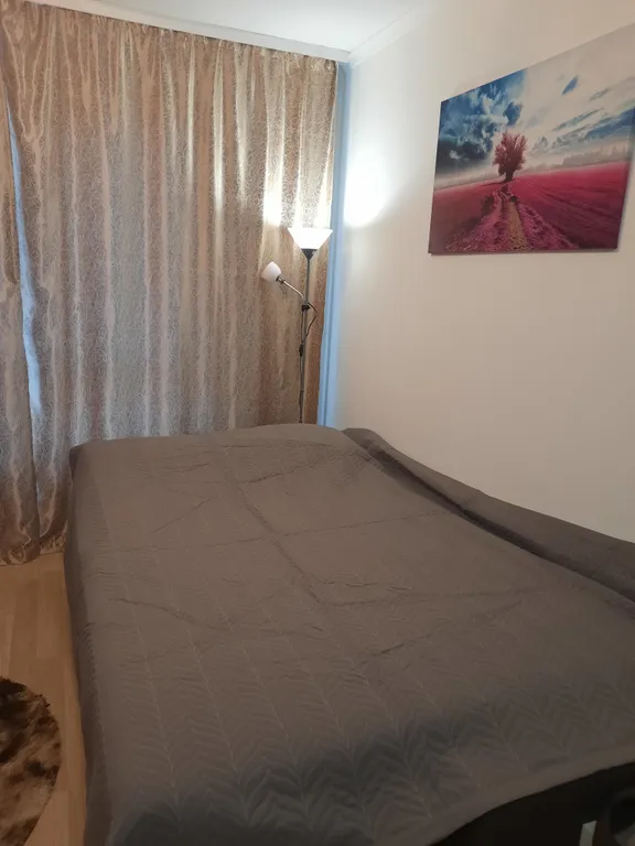 Студия в ЖК Мещерский лес