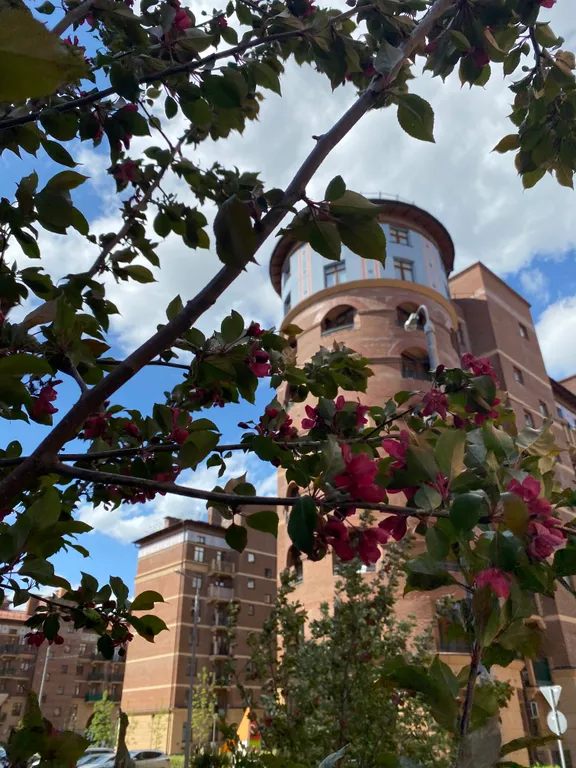 Апартамент рядом с аэропортом Шереметьево