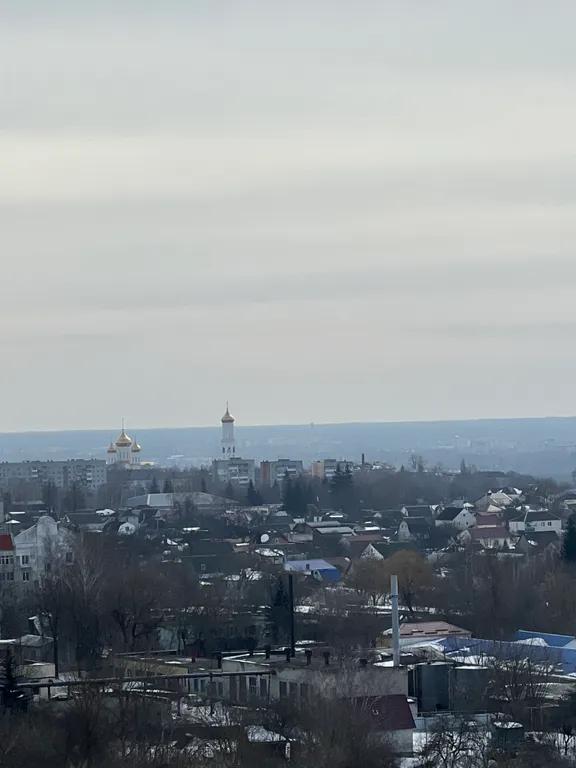 Апартаменты Зебра