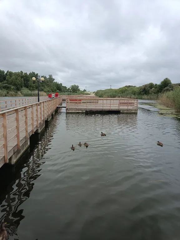 Гостевой домик с видом на море
