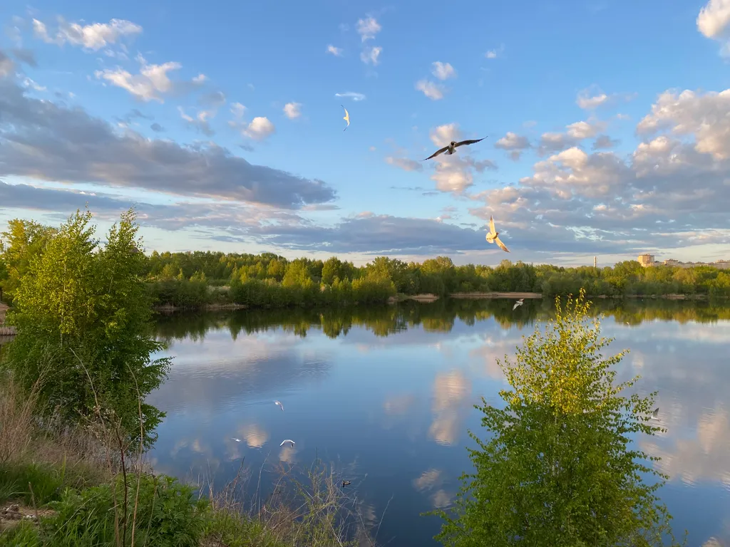 Уютная студия рядом с озером