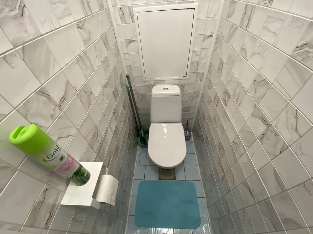 Двухкомнатная квартира в посёлке Калининец