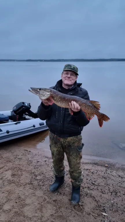 Коттедж Коттедж с баней, чаном и детской площадкой с батутом у озера, в бору — Ланино