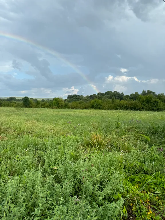 Уютный маленький домик в тишине+кальян в подарок, с вас угли и табак