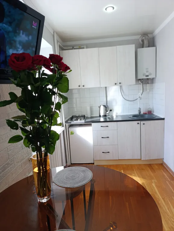 Уютная студия в центре города