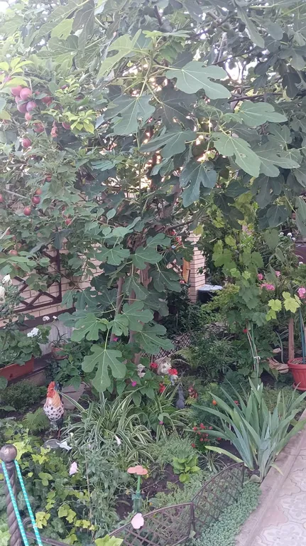 Квартира Комната — Анапа