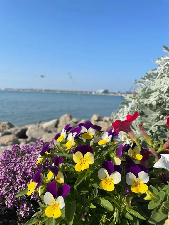 Квартира 1-комнатная Квартира — Анапа