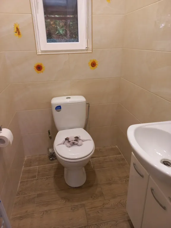 Уютный дом с баней