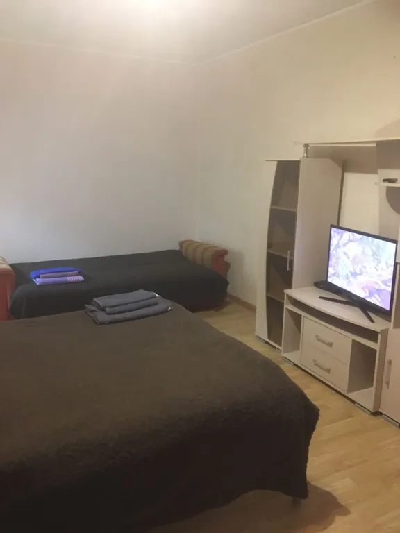 Уютная квартира на первом этаже