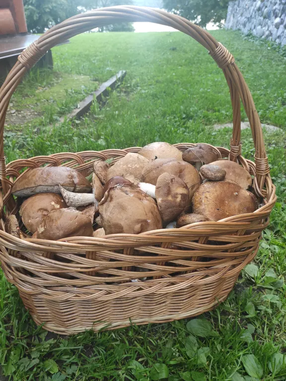 Дом на Волге