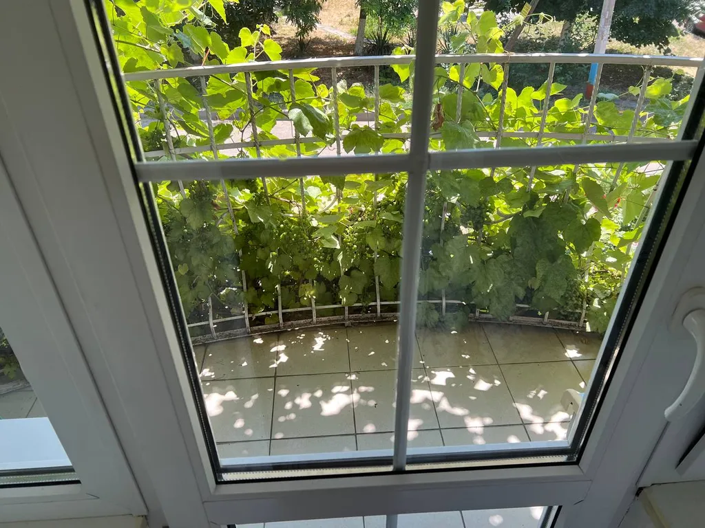 Комната для кратковременного проживания в центре