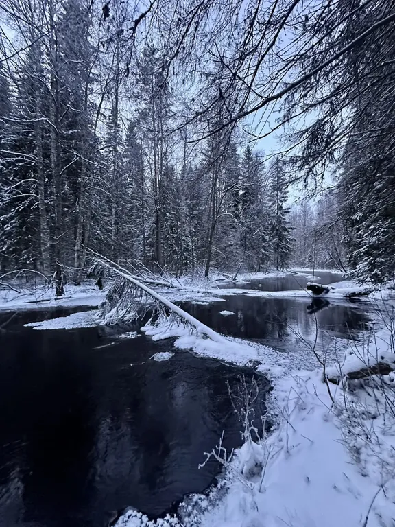 Уютный домик на берегу речки