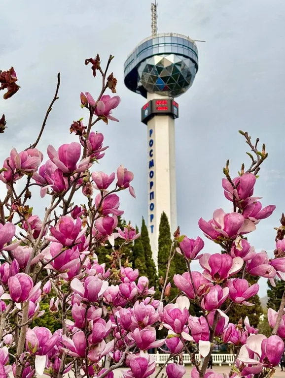 Бирюзовая идиллия