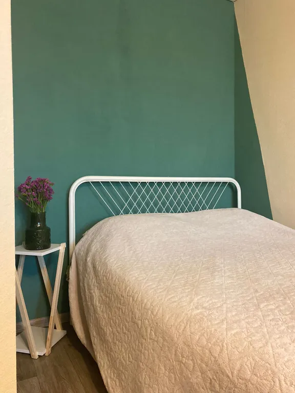 Уютная квартира в центре города — аренда посуточно в Саранск