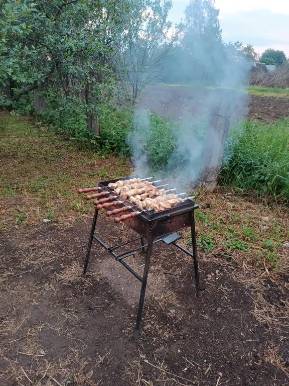 Уютный дом в Пушкиногорье