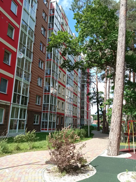 Квартира 1-комнатная Квартира — Светлогорск