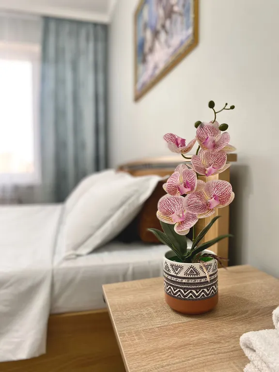 Arnau City 2 Apartments