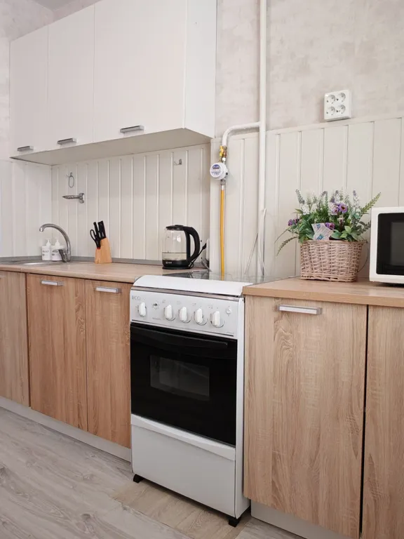 Апартамент в новом центре города