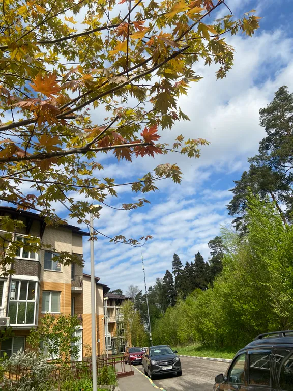 Уютная квартира с видом на лес