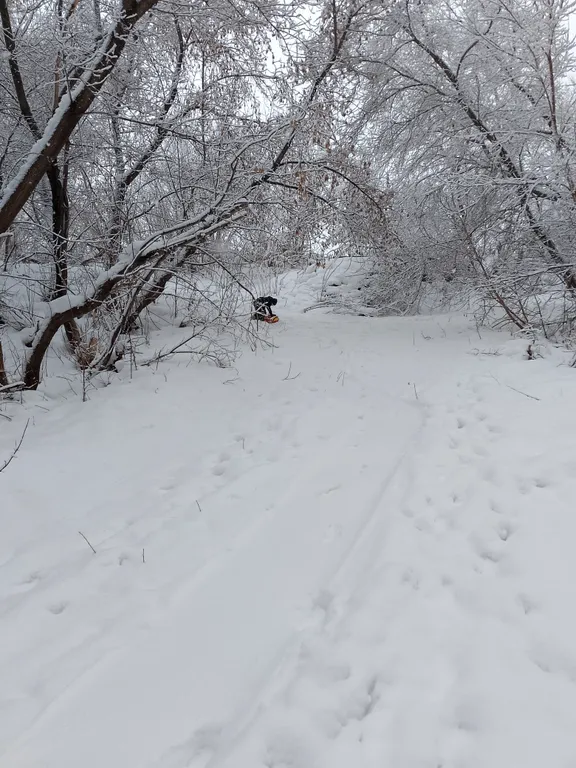 Большой дом с камином и новой баней
