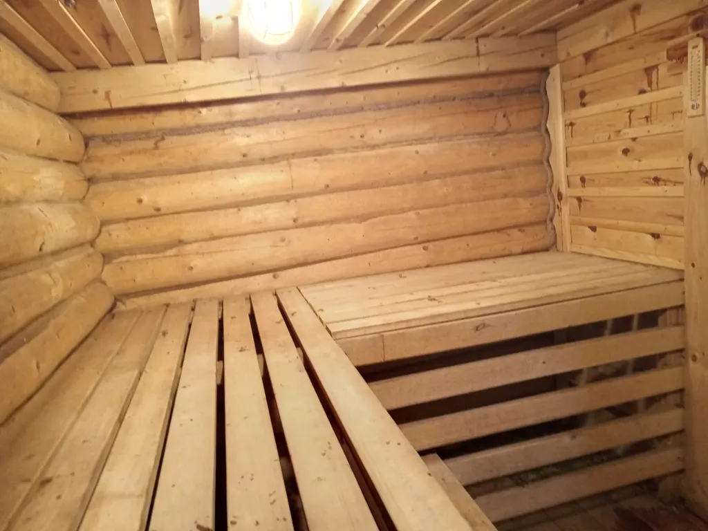 Дом с баней в деревне