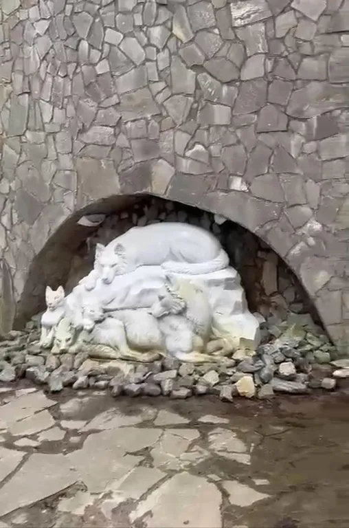 Квартира Квартира Апартамент рядом с морем — Светлогорск