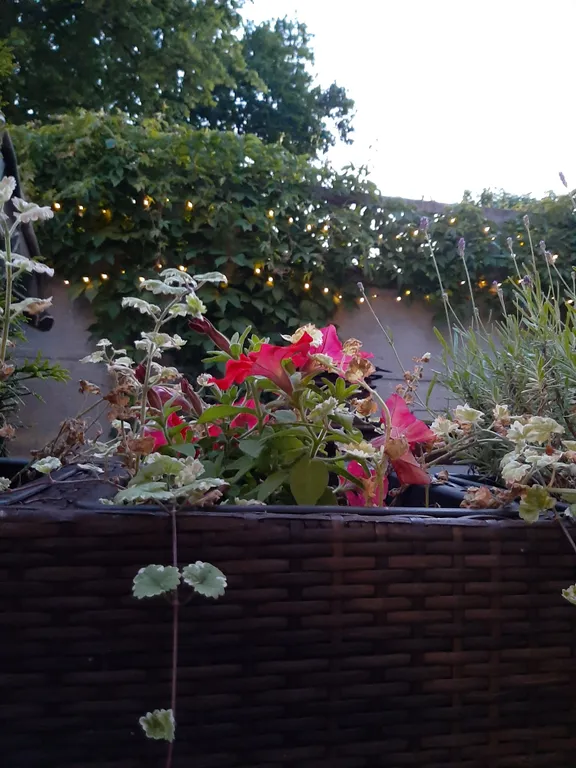 Гостевой домик Листья травы в исторической части города