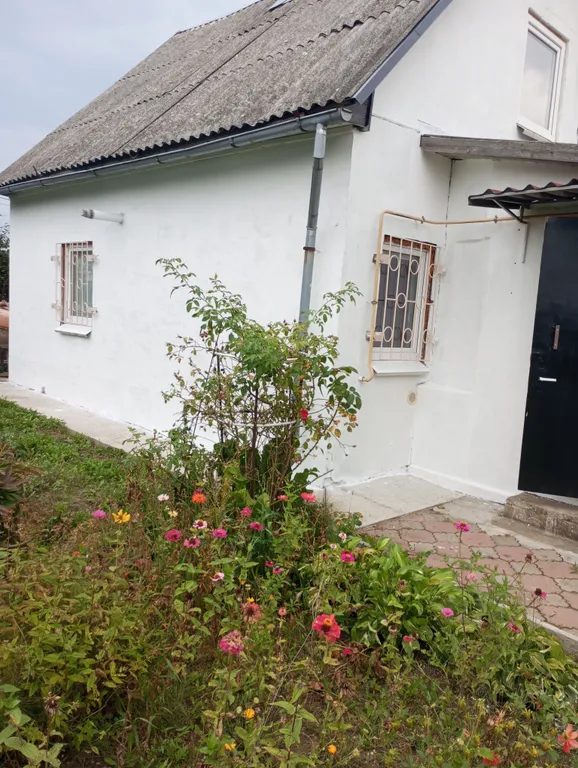 Коттедж Море — аренда посуточно в Светлогорск